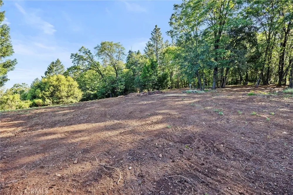 14087 Nimshew Magalia, CA 95954