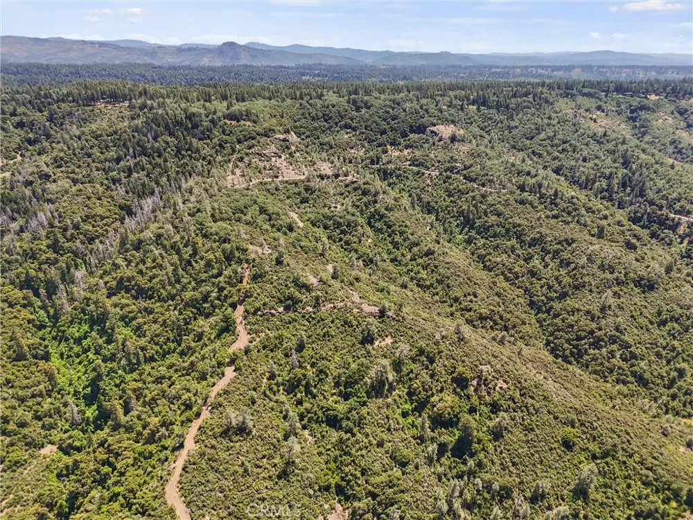 14087 Nimshew Magalia, CA 95954