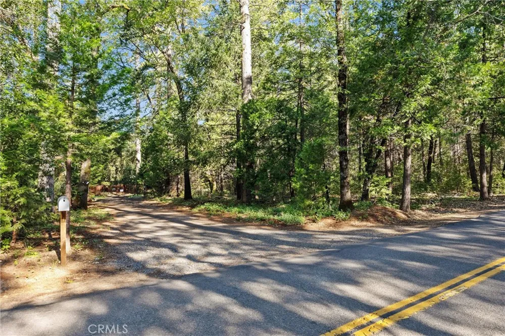 14087 Nimshew Magalia, CA 95954