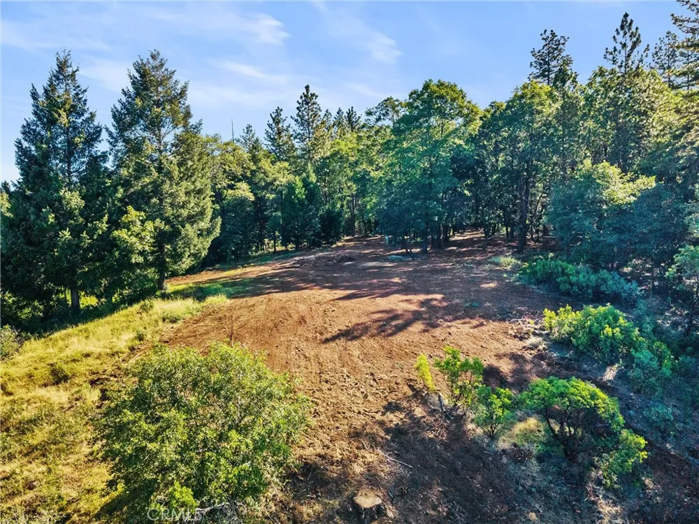 14087 Nimshew Magalia, CA 95954