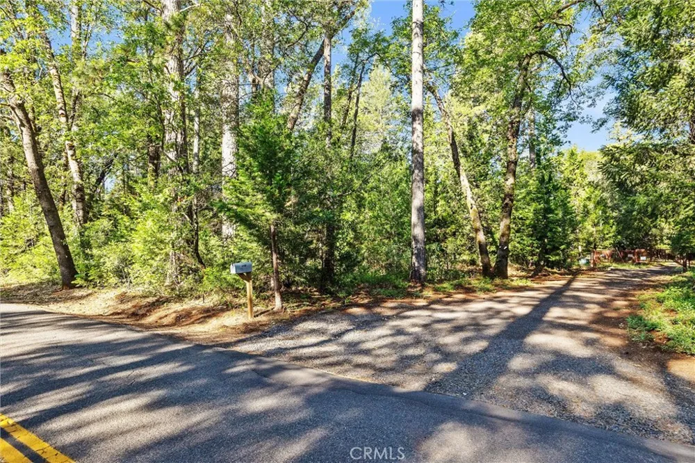 14087 Nimshew Magalia, CA 95954