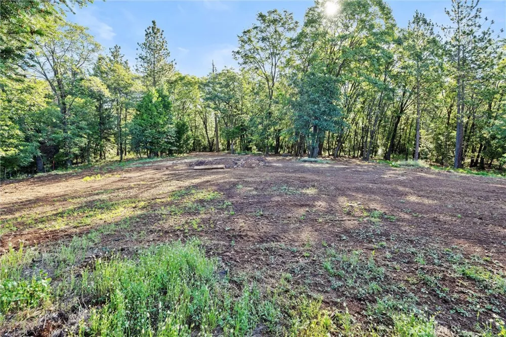 14087 Nimshew Magalia, CA 95954
