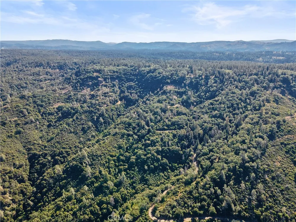 14087 Nimshew Magalia, CA 95954
