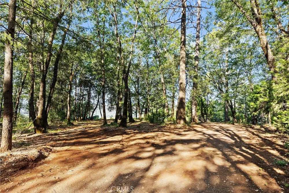 14087 Nimshew Magalia, CA 95954