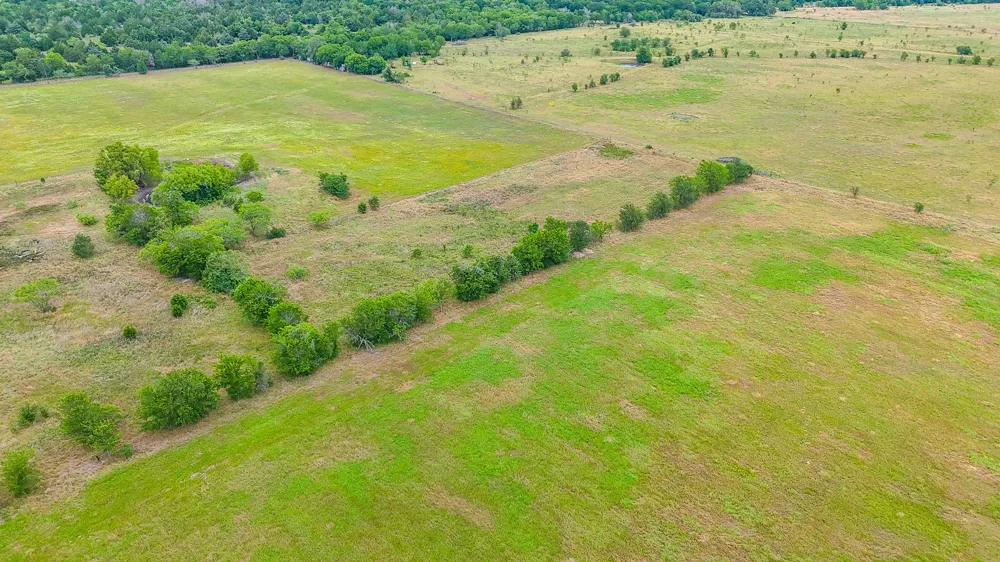 8365 Fm 642 Purdon, TX 76679