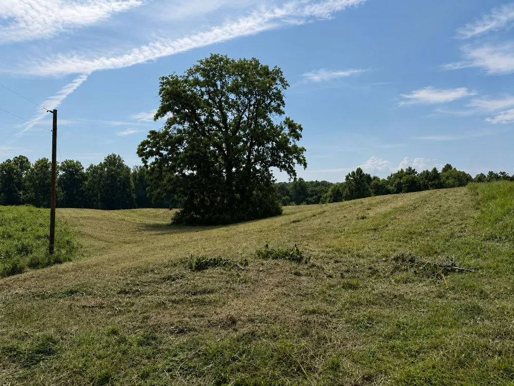 0 Potts Camp Rd Smithville, TN 37166