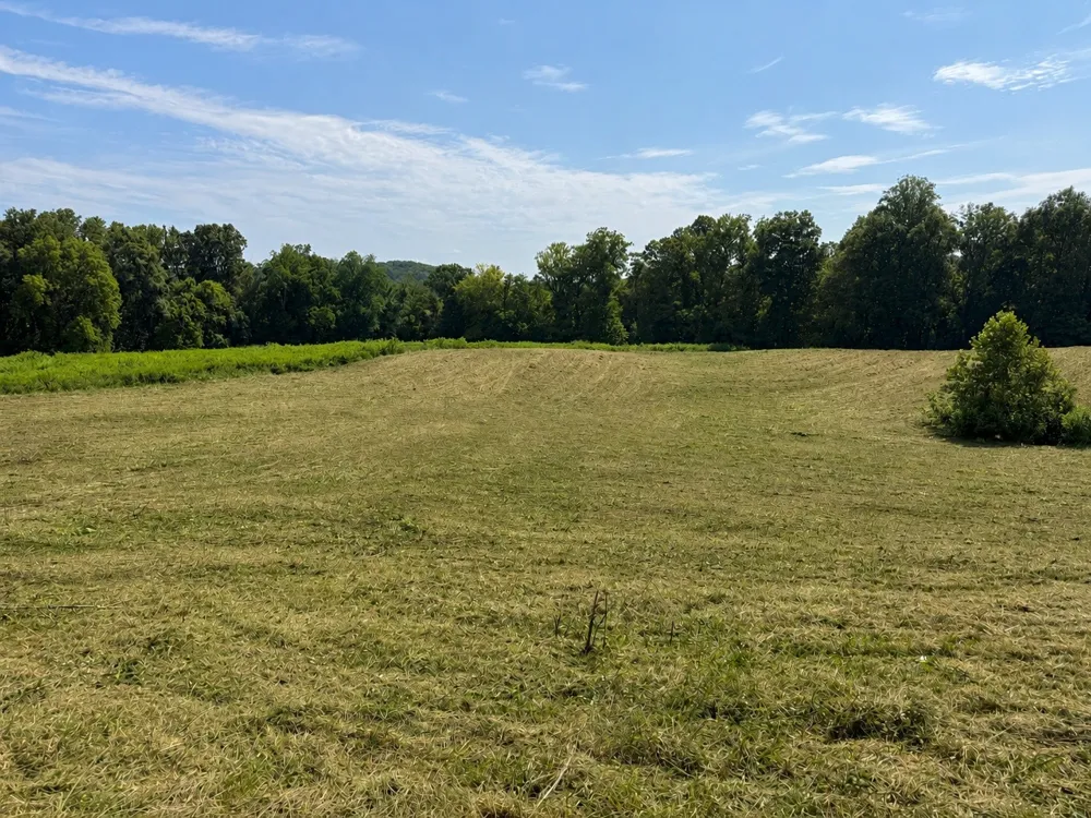 0 Potts Camp Rd Smithville, TN 37166