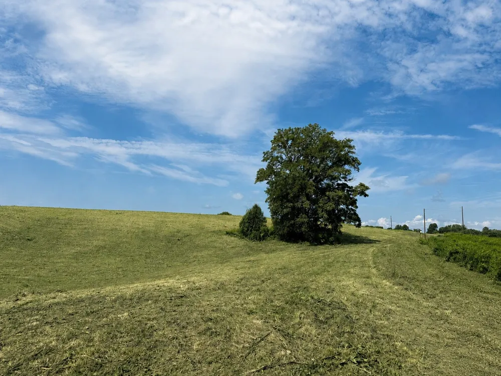 0 Potts Camp Rd Smithville, TN 37166