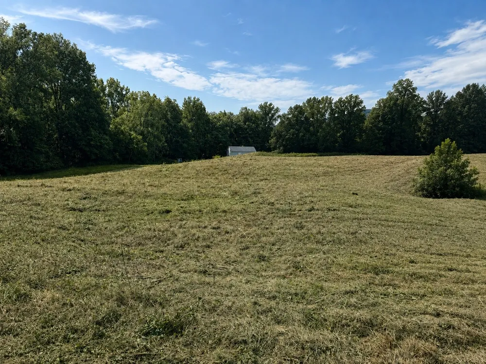 0 Potts Camp Rd Smithville, TN 37166