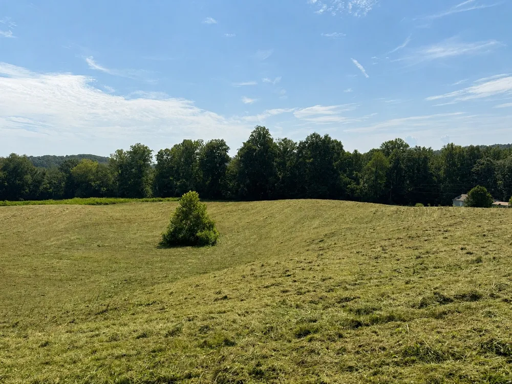0 Potts Camp Rd Smithville, TN 37166