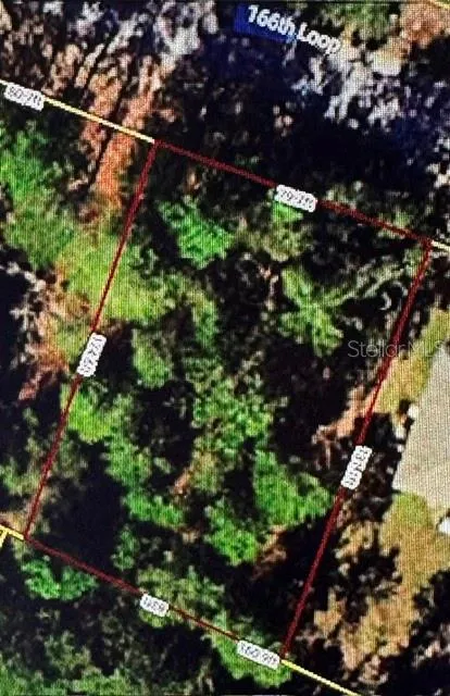 SW 116TH LOOP