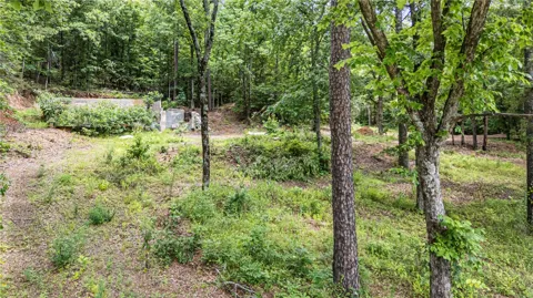 1656 Walnut Valley Road