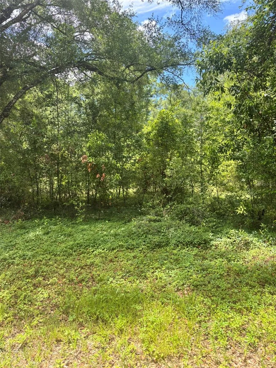 8230 NW 166TH STREET Fanning Springs, FL 32693