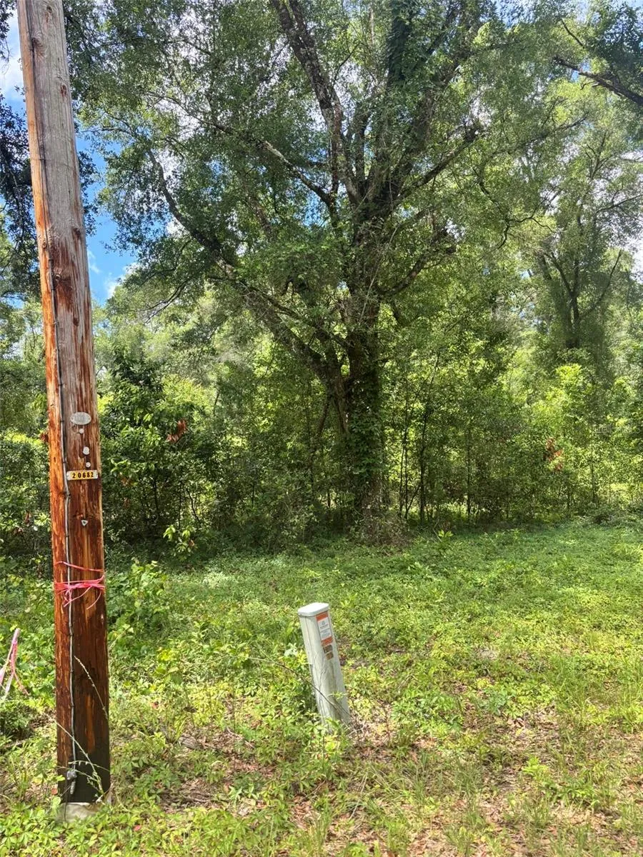 8230 NW 166TH STREET Fanning Springs, FL 32693