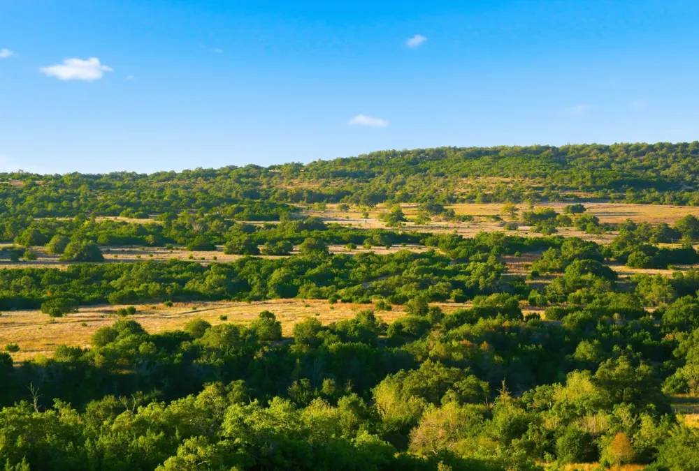 Address Not Shown Dripping Springs, TX 78620