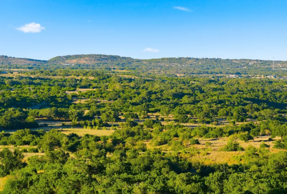 Address Not Shown Dripping Springs, TX 78620