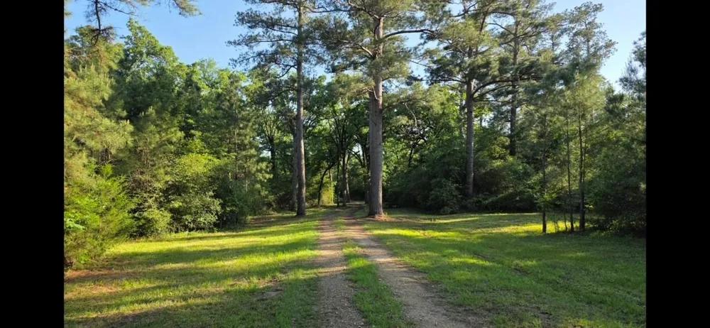729 County Road 4040 Crockett, TX 75835