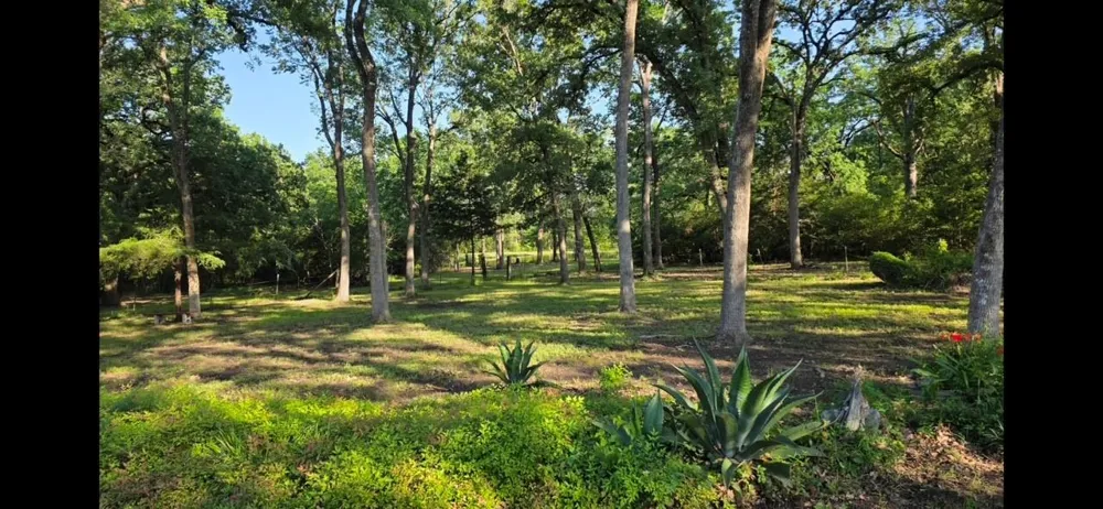 729 County Road 4040 Crockett, TX 75835