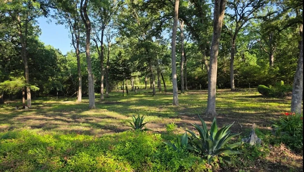 729 County Road 4040 Crockett, TX 75835