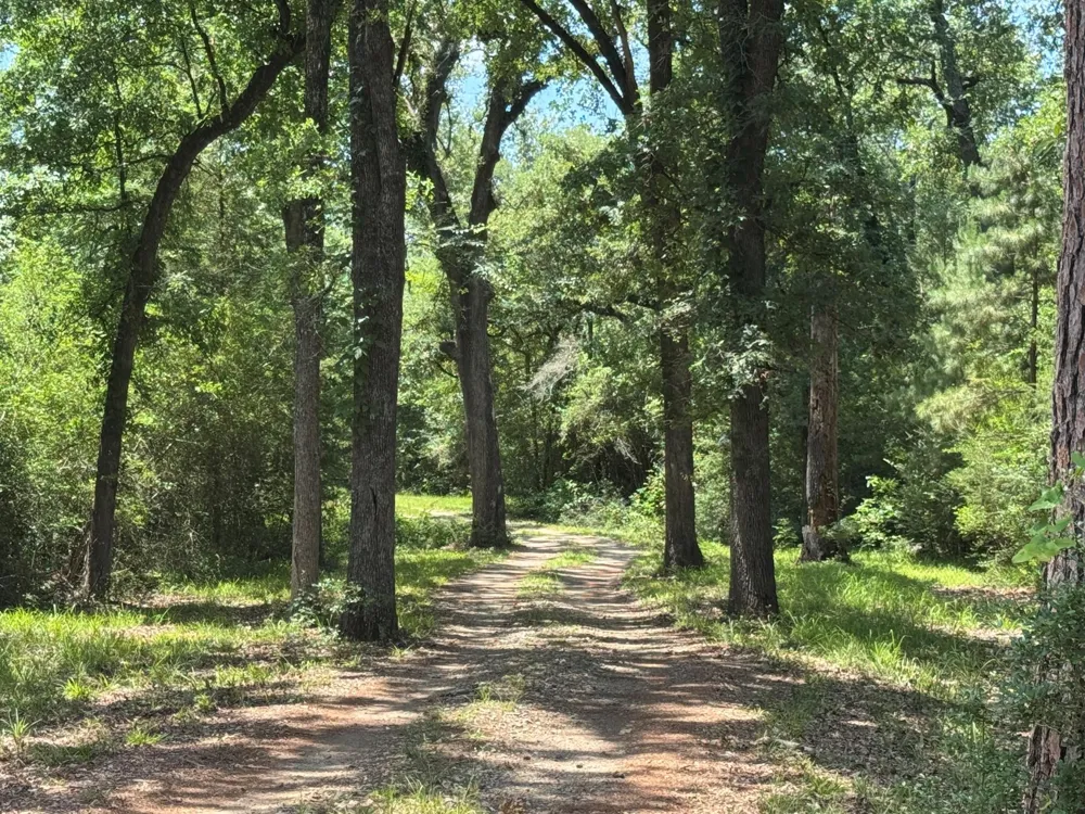 729 County Road 4040 Crockett, TX 75835
