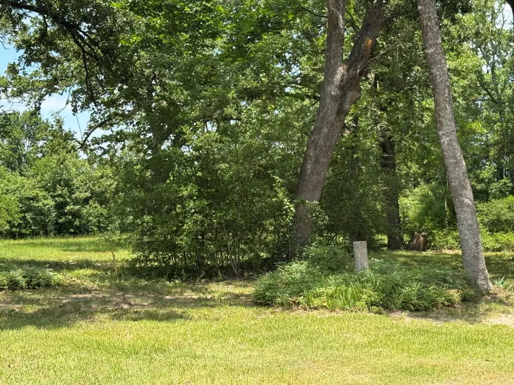 729 County Road 4040 Crockett, TX 75835
