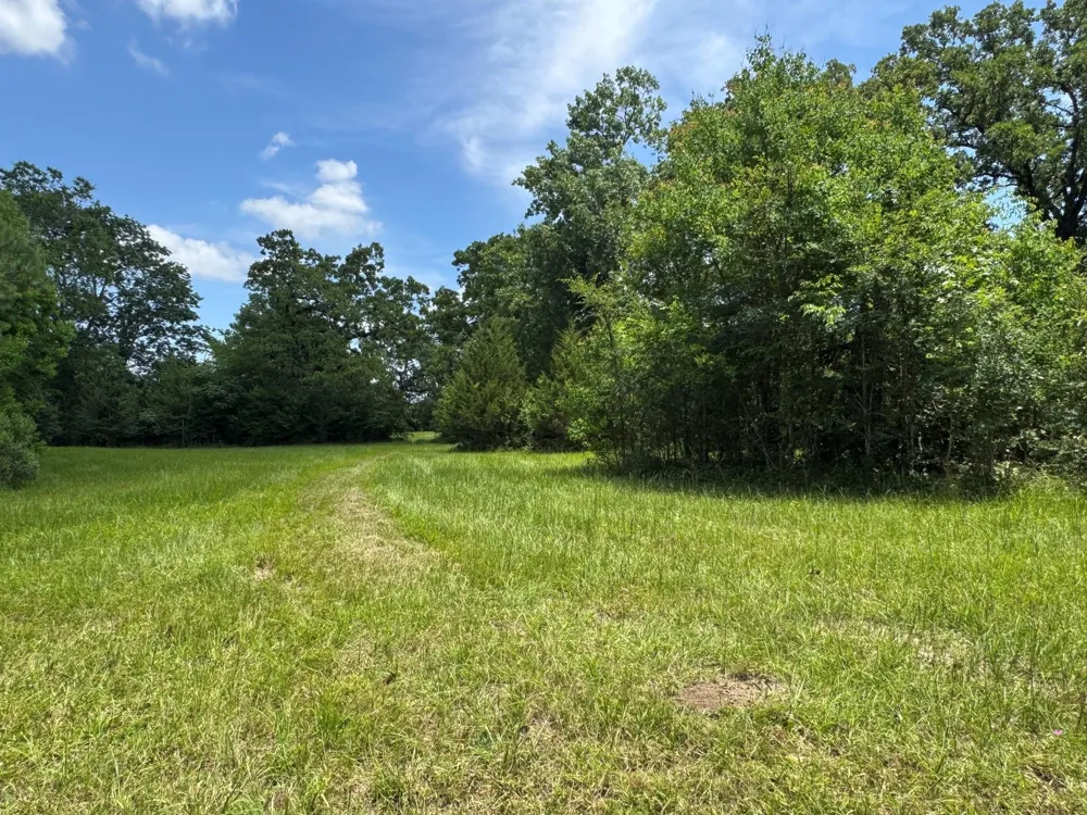 729 County Road 4040 Crockett, TX 75835