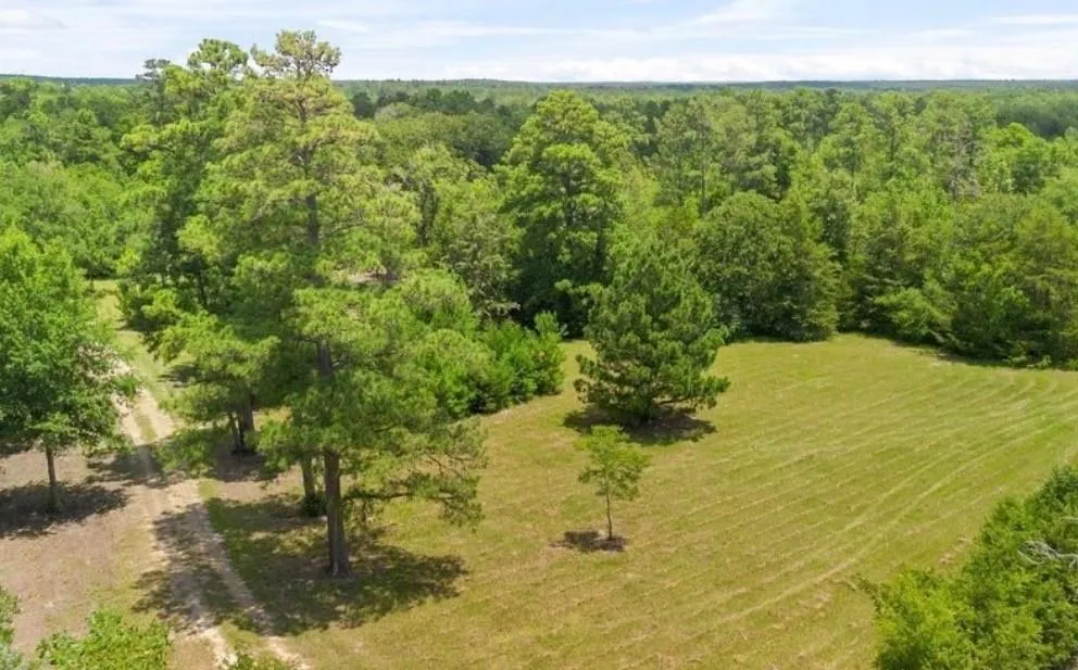 729 County Road 4040 Crockett, TX 75835