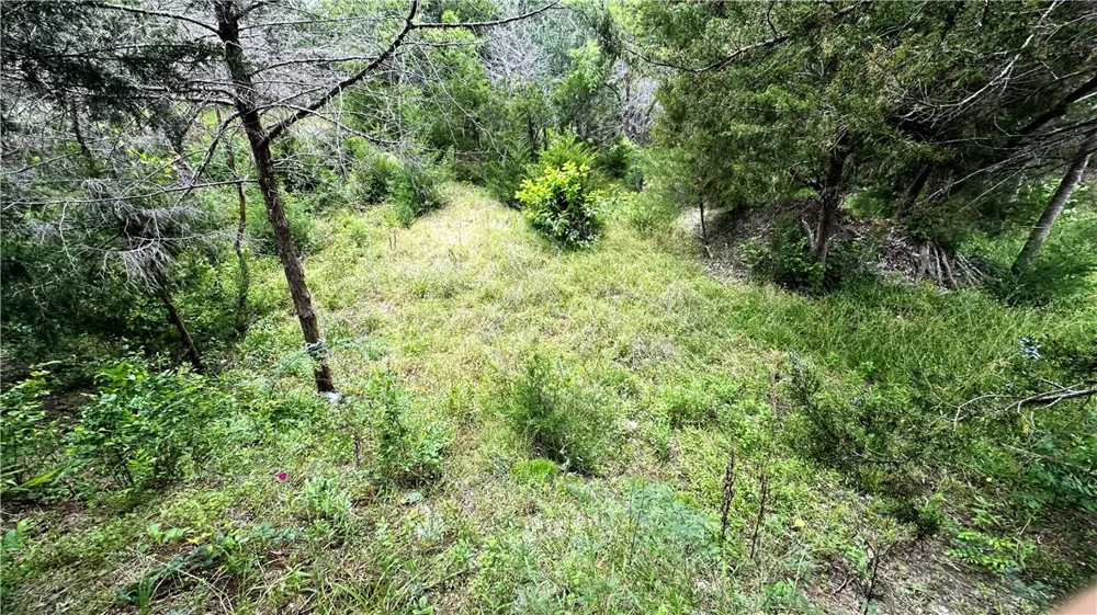 6624 Misty Lane North Zulch, TX 77872