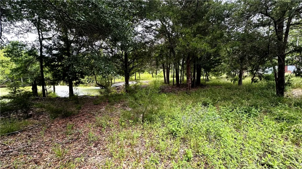 6624 Misty Lane North Zulch, TX 77872