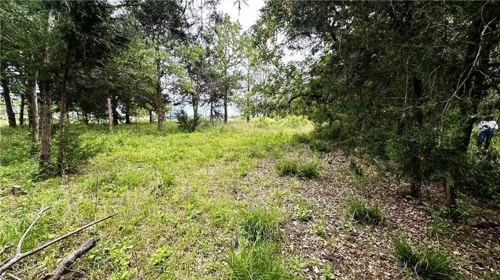 6624 Misty Lane North Zulch, TX 77872