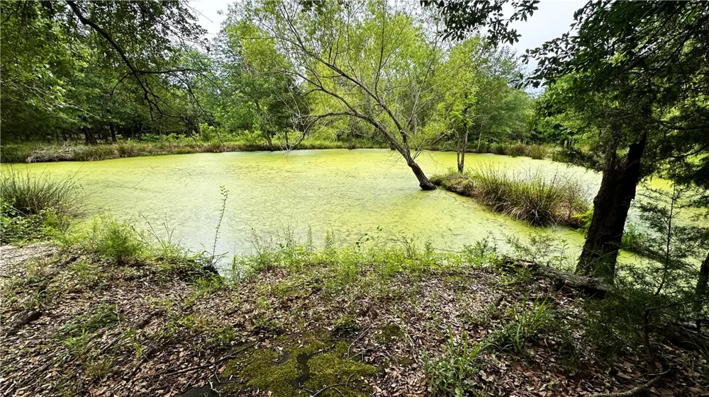 6624 Misty Lane North Zulch, TX 77872