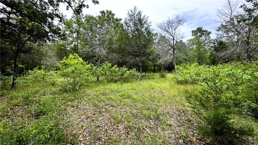 6624 Misty Lane North Zulch, TX 77872