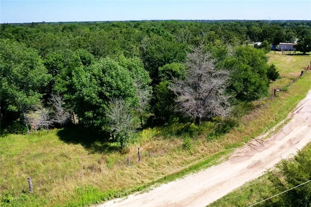 6624 Misty Lane North Zulch, TX 77872