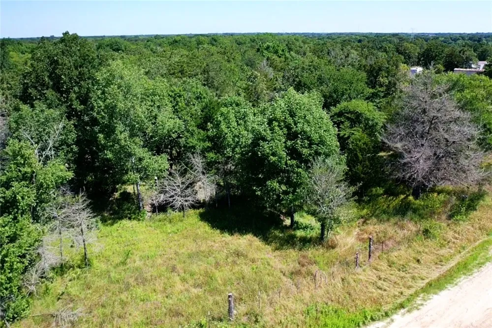6624 Misty Lane North Zulch, TX 77872