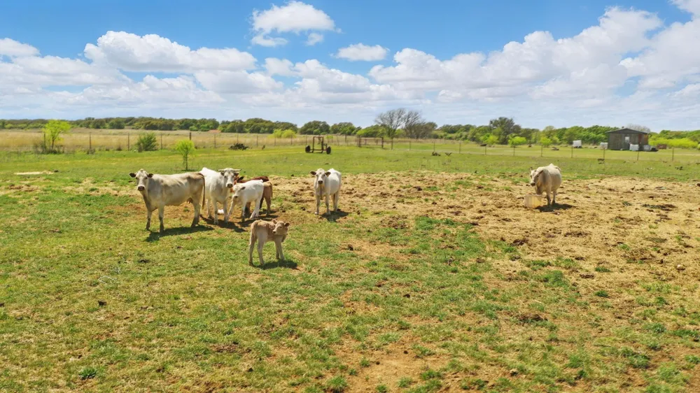 1359 County Road 195 Gorman, TX 76454