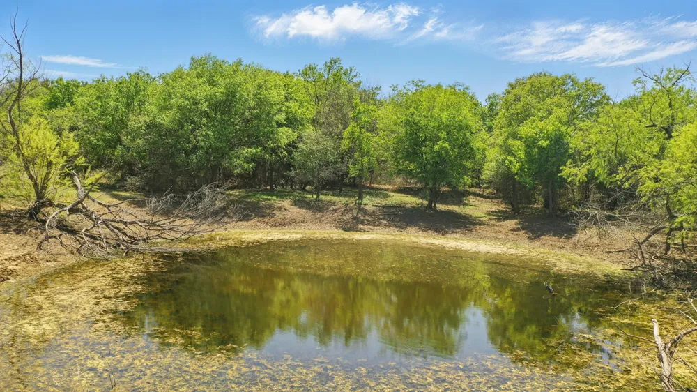 1359 County Road 195 Gorman, TX 76454