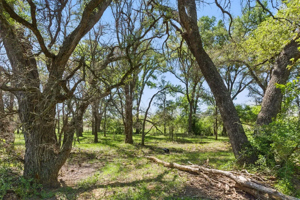 1359 County Road 195 Gorman, TX 76454