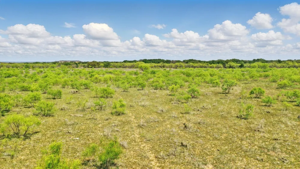 1359 County Road 195 Gorman, TX 76454
