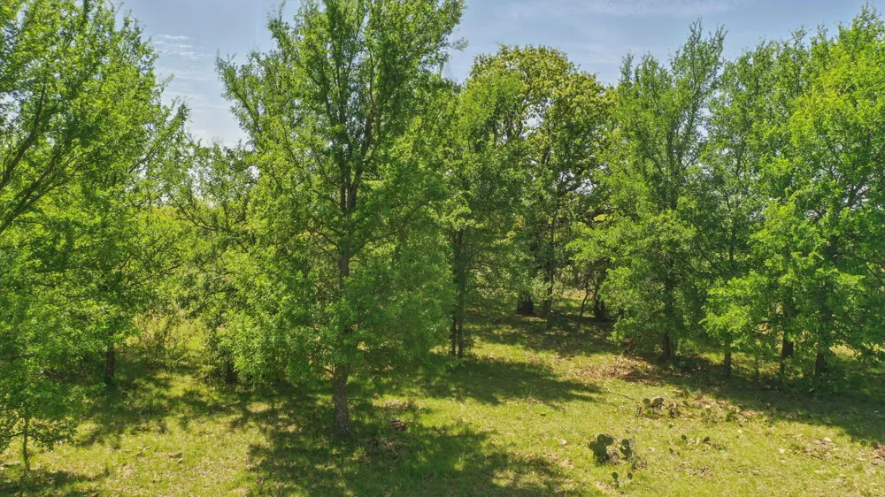 1359 County Road 195 Gorman, TX 76454