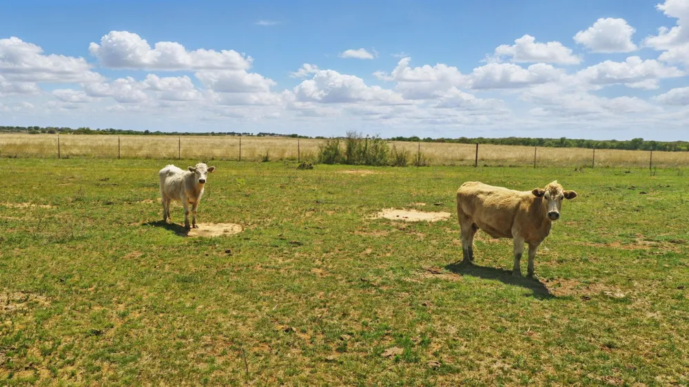 1359 County Road 195 Gorman, TX 76454