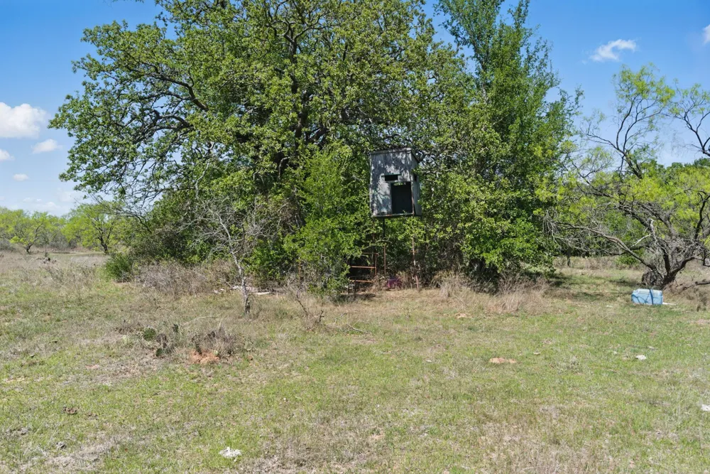 1359 County Road 195 Gorman, TX 76454