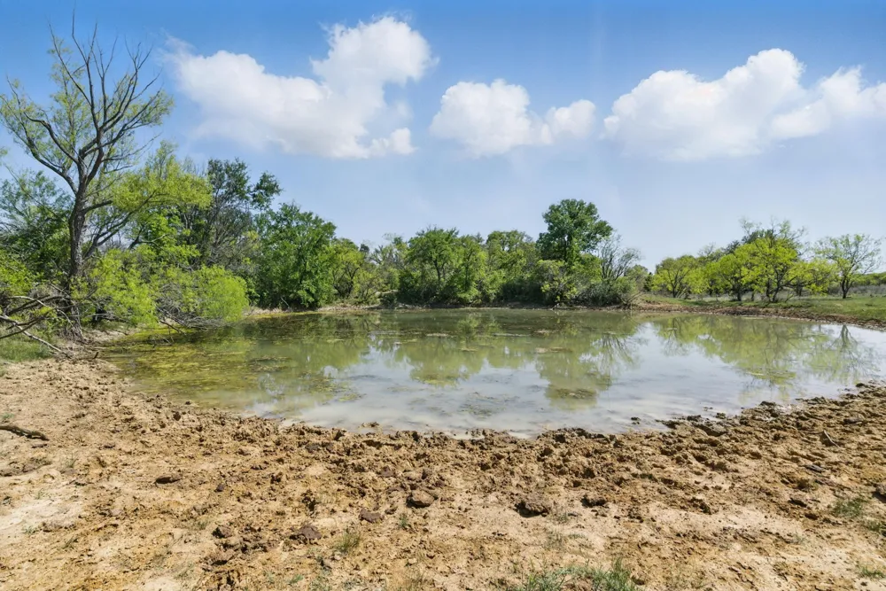 1359 County Road 195 Gorman, TX 76454