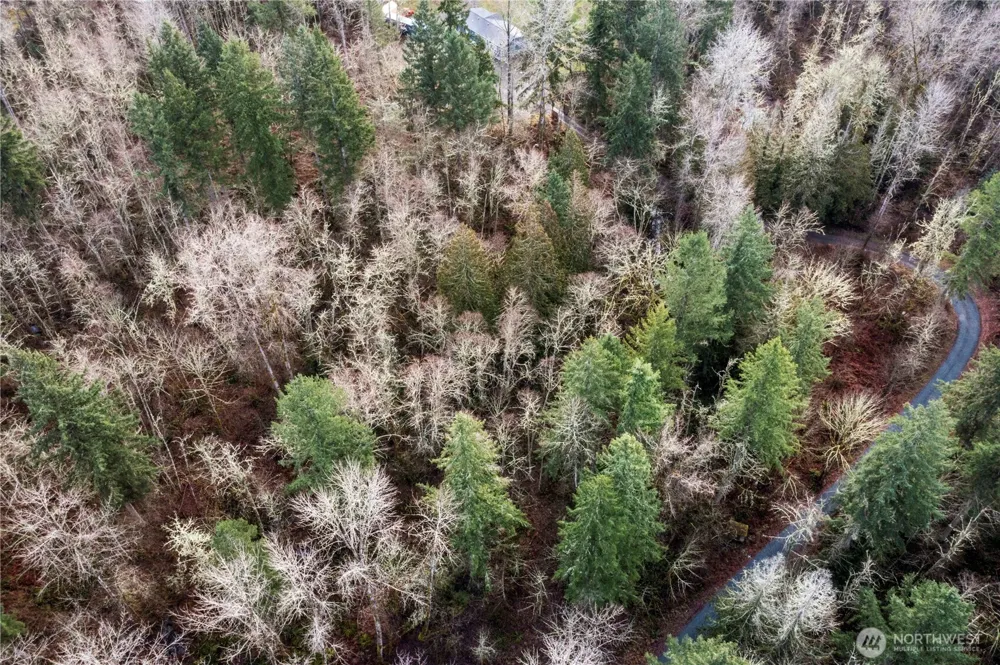 31809 116th Avenue E Graham, WA 98338