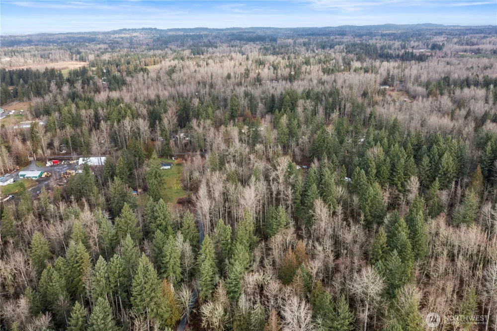 31809 116th Avenue E Graham, WA 98338
