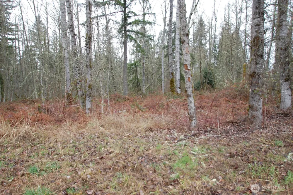 31809 116th Avenue E Graham, WA 98338