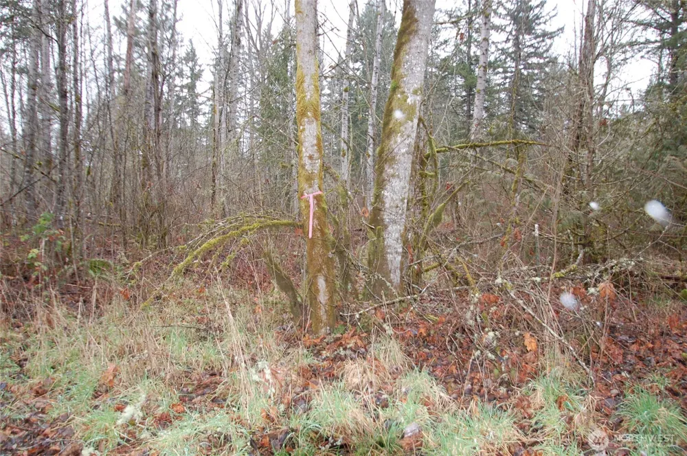 31809 116th Avenue E Graham, WA 98338