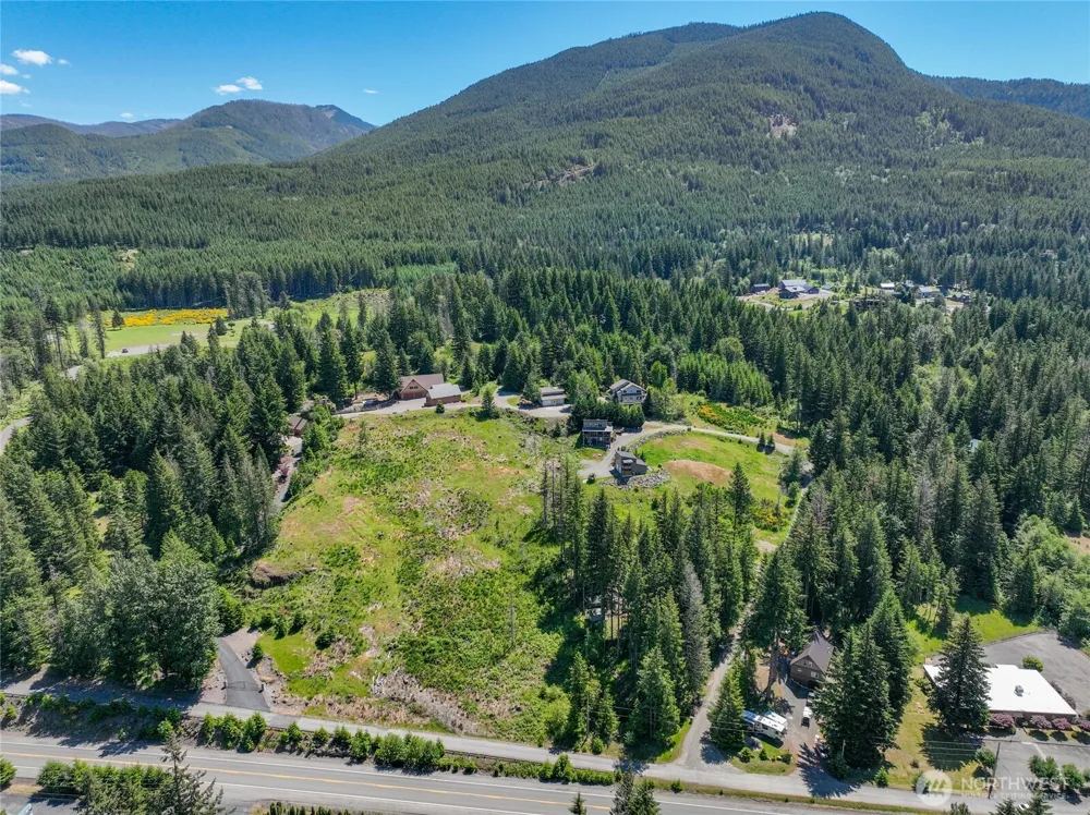 113 Hellem Drive Packwood, WA 98361