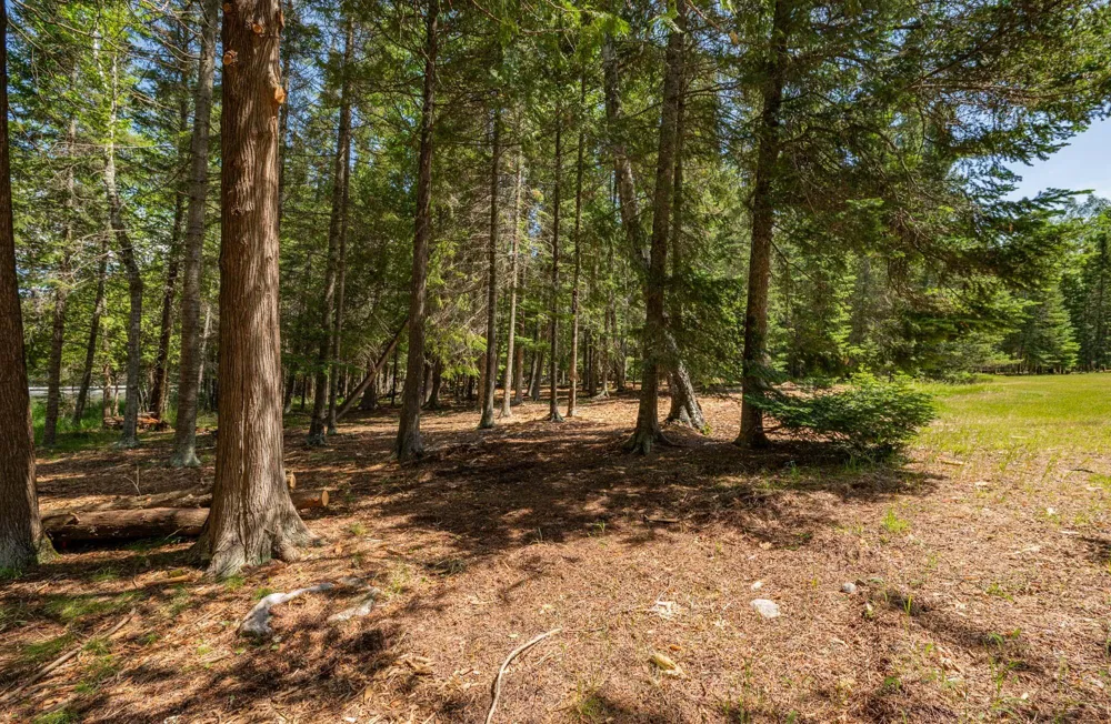 51301 Pine Point Road Bigfork, MN 56628