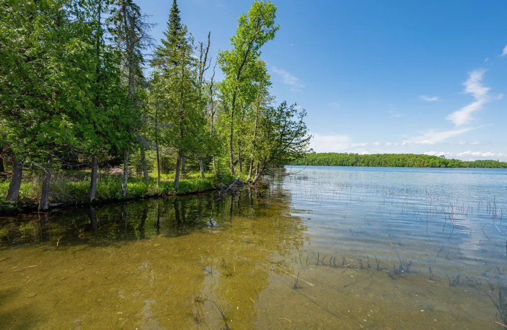 51301 Pine Point Road Bigfork, MN 56628