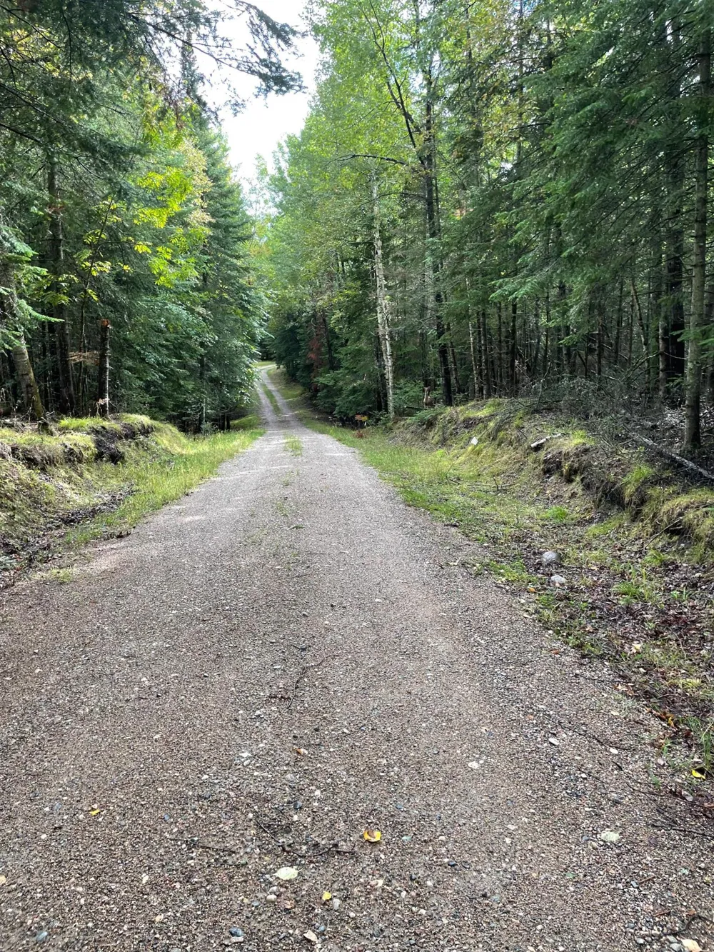 51301 Pine Point Road Bigfork, MN 56628